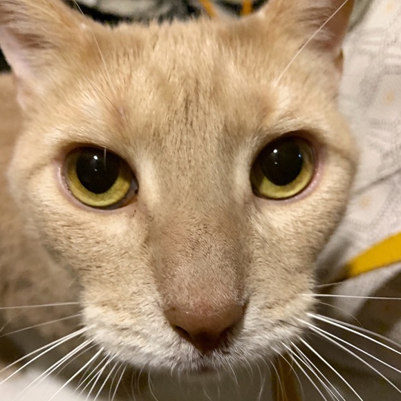 Meet your Posher, Emily! - Picture 3 of 8